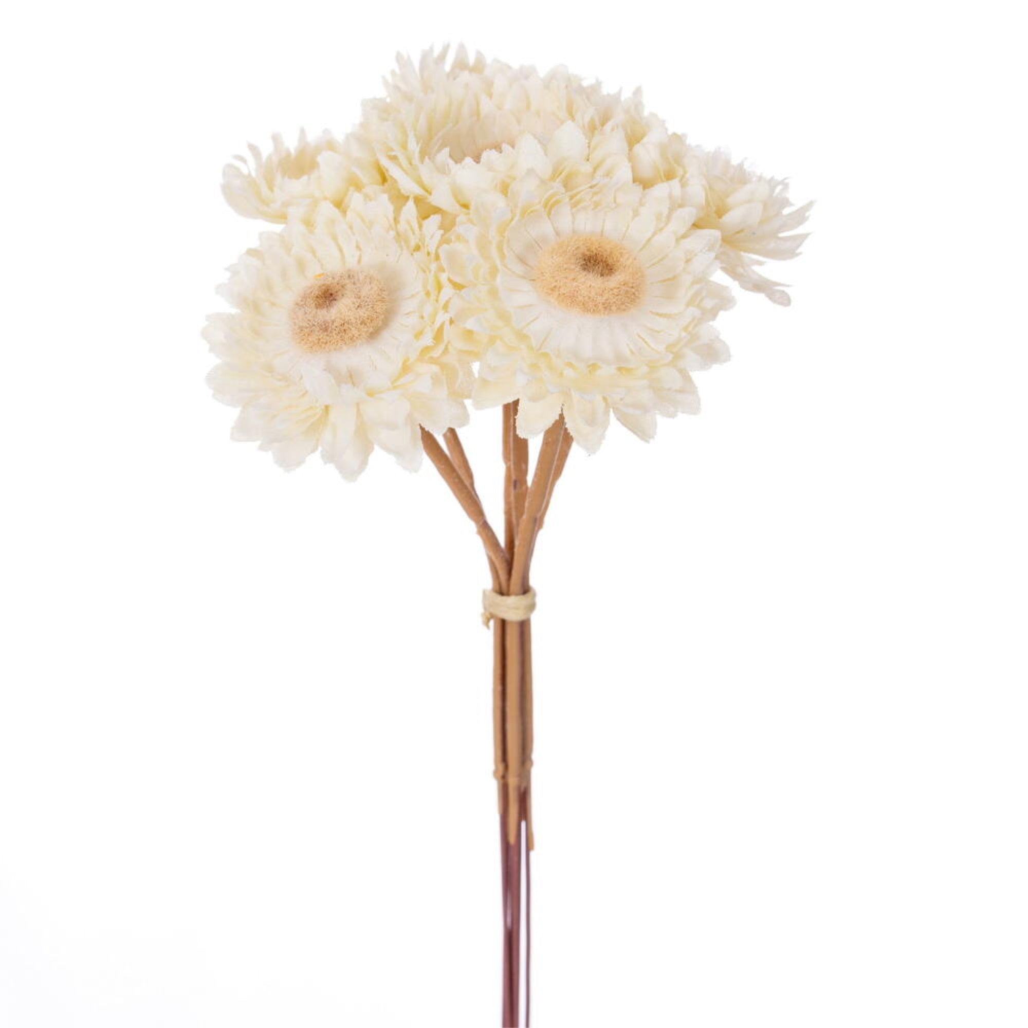 Vickerman 7” Cream Artificial Daisy Strawflower Stem 6/Bag. Perfect addition to any decorating project