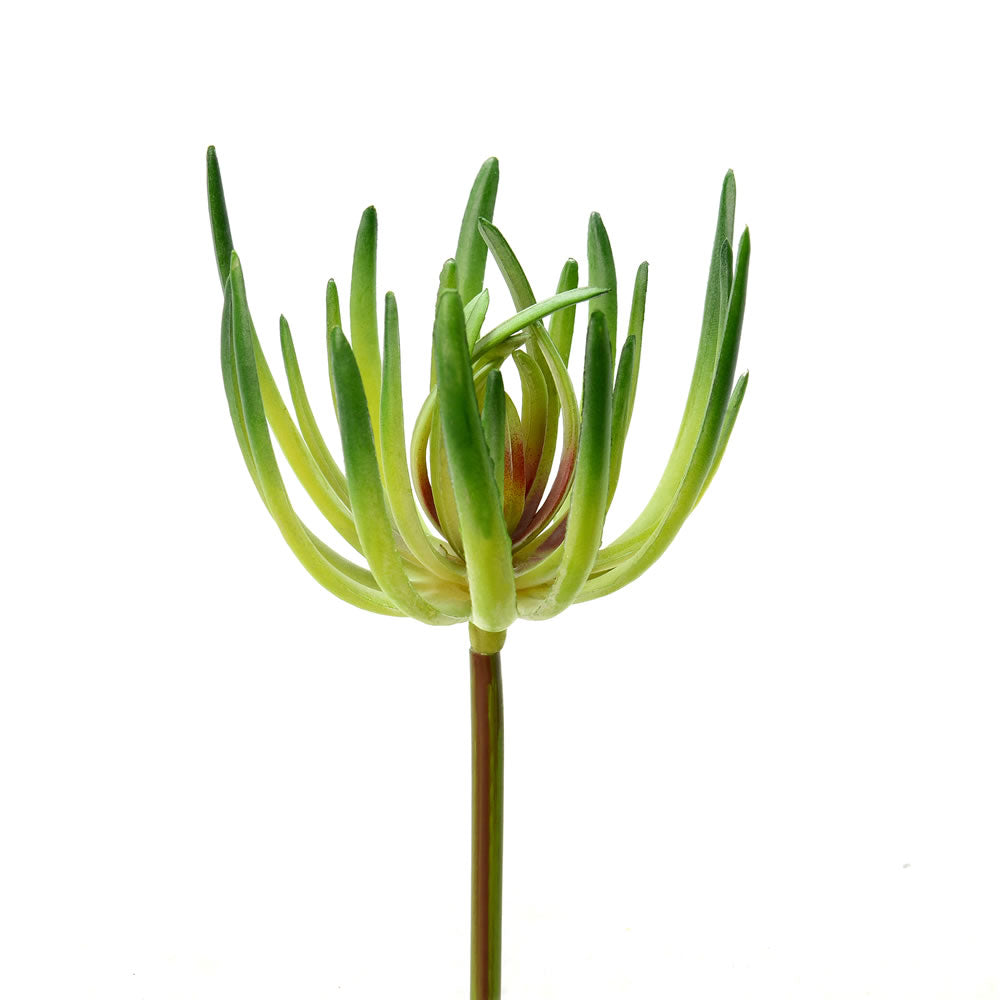 Vickerman 7” Green Jade Pick 3/Pk - FO180401