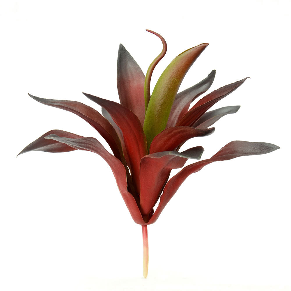 Vickerman 9.5” Purple/Red Aloe Vera Pick 3/Pk - FO180701