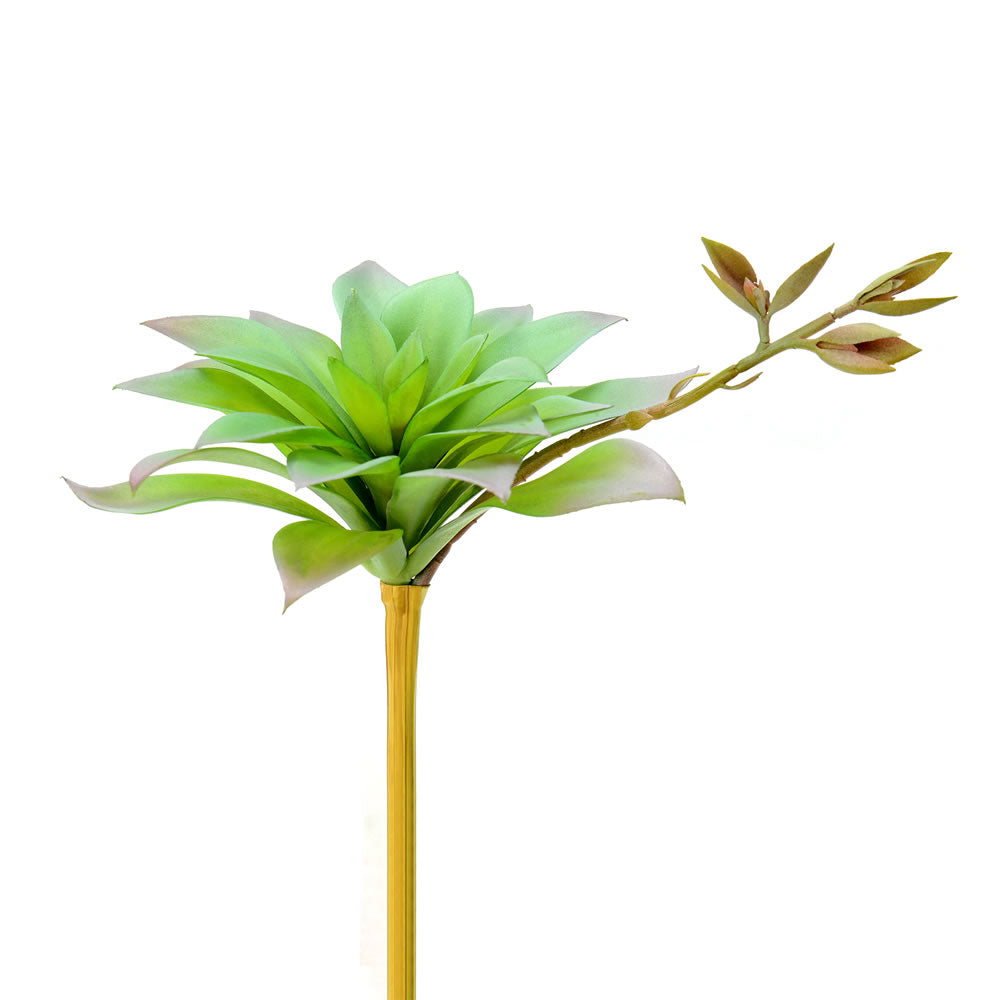 Vickerman 9.5” Green Agave Pick 3/Pk - FO180801