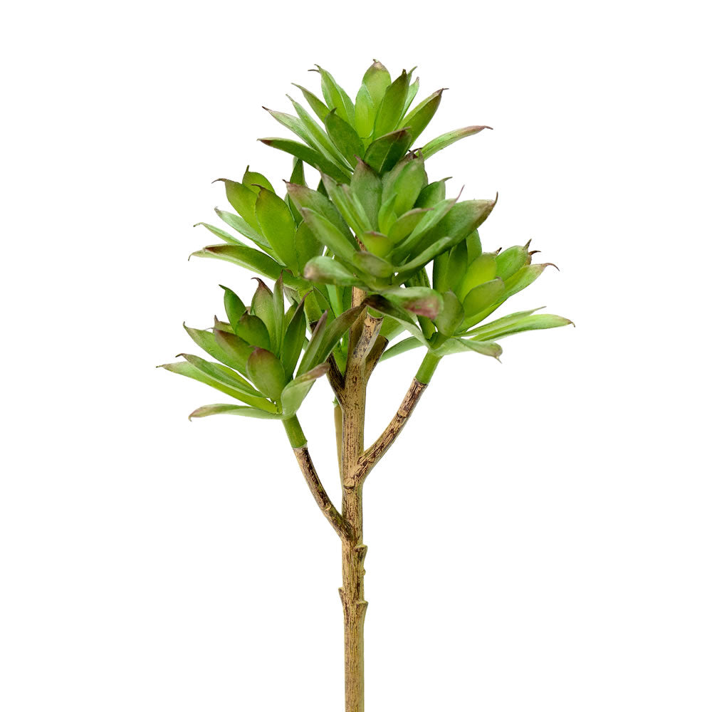 Vickerman 8” Green Springtime Pick 3/Pk - FO181201