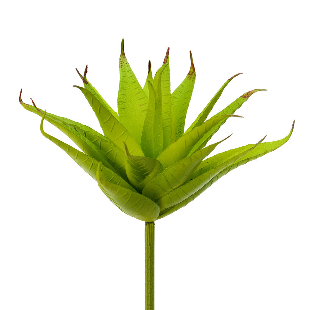 Vickerman 6” Green Aloe Pick 3/Pk - FO181601