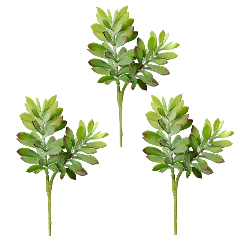 Vickerman 10” Green Crassula Tetragona Pick 3/Pk - FO181701