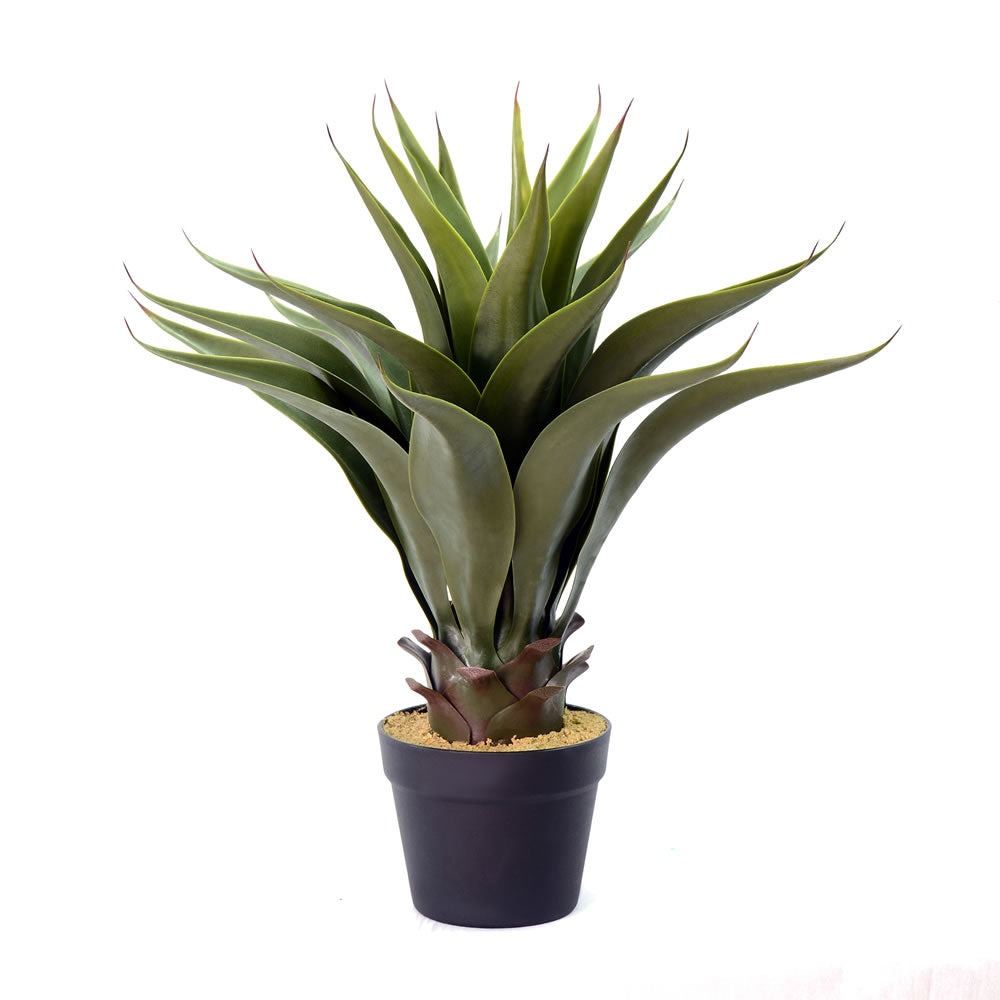 Vickerman 22” Green Potted Aloe Vera - FO182101