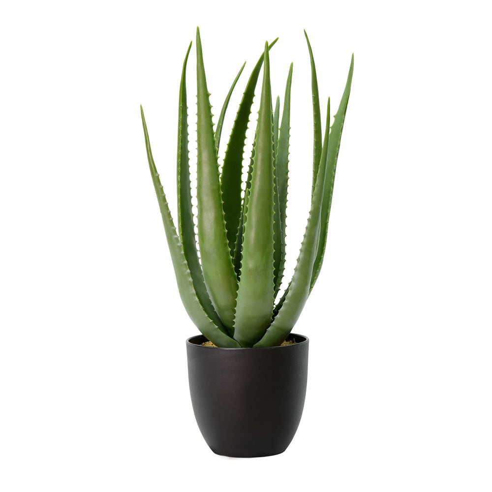 Vickerman 25” Green Potted Aloe Vera - FO182301