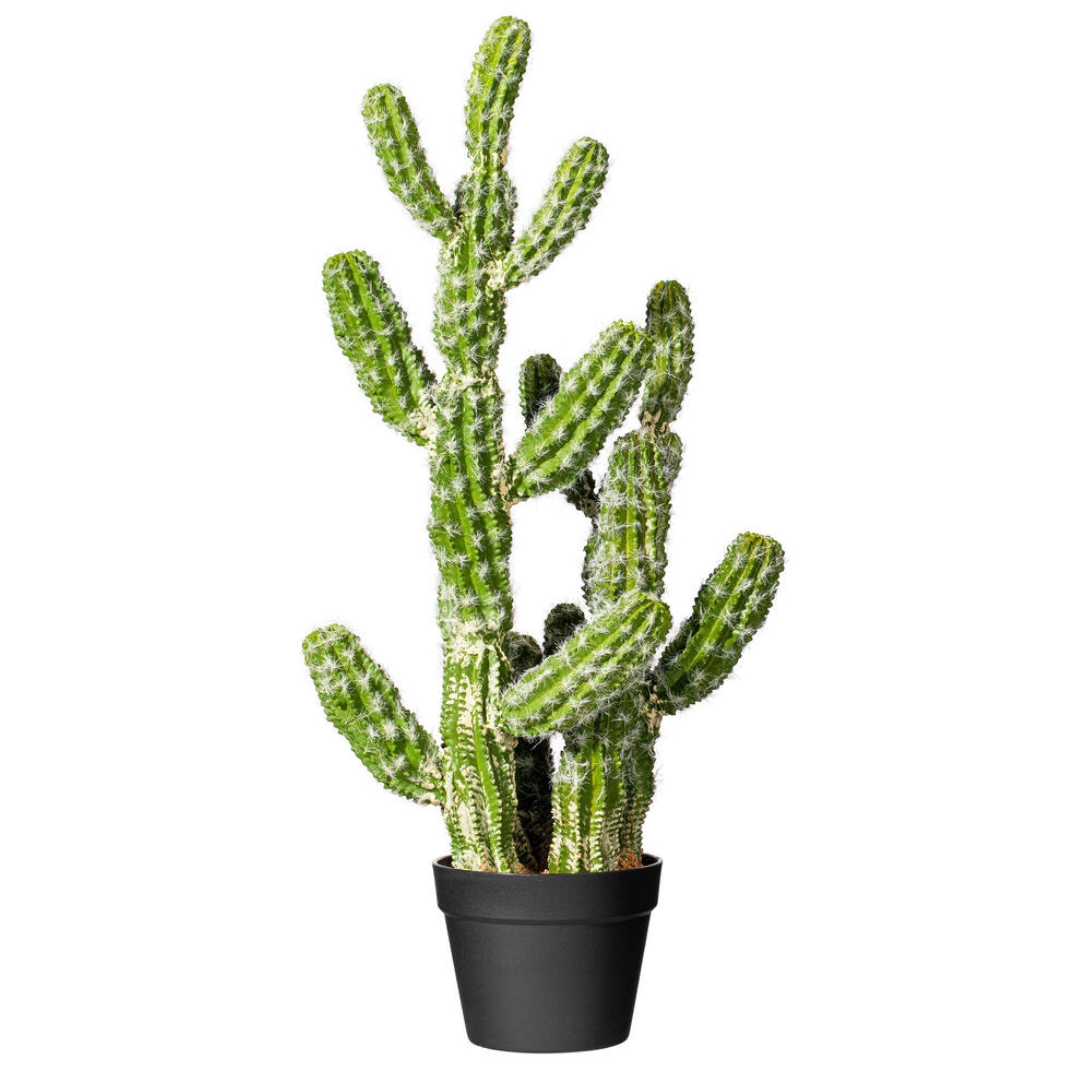 Vickerman 31” Artificial Green Potted Cactus.