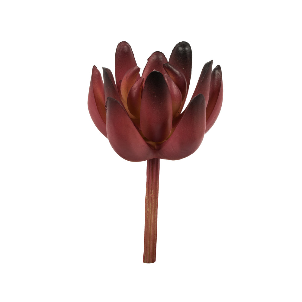 Vickerman 4” Red/Gray Succulent Pick Asst 6/pk - FO193004