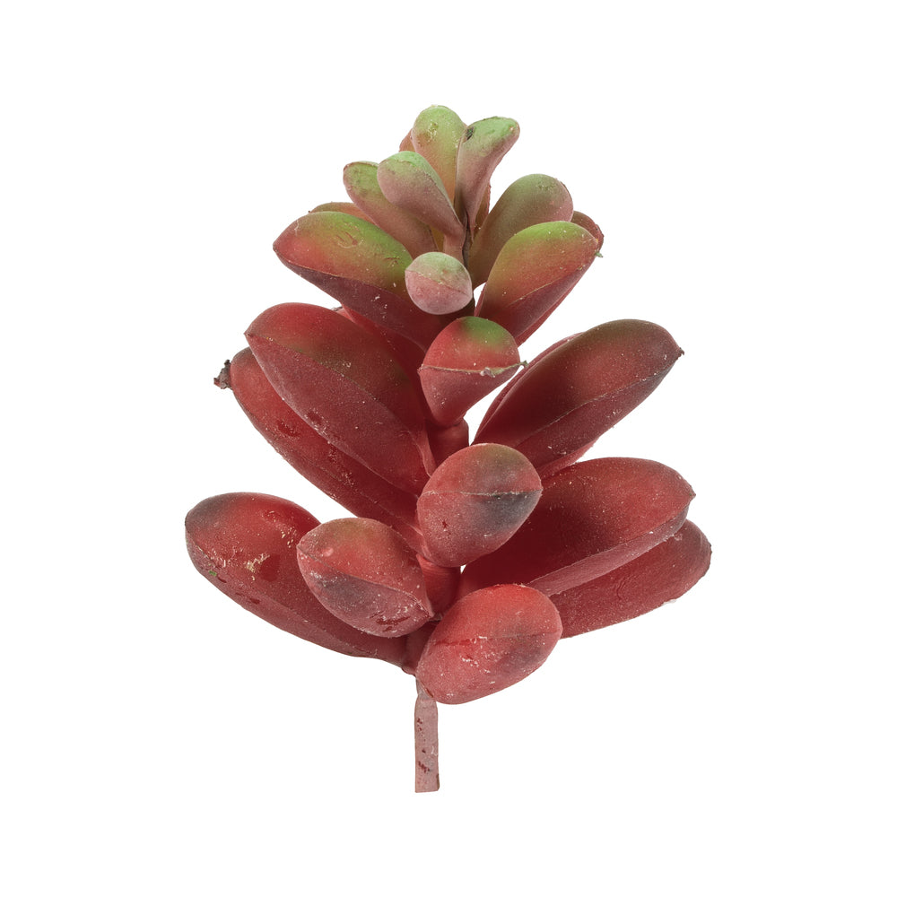 Vickerman 4” Red/Green Succulent Pick Asst 6/Pk - FO193504