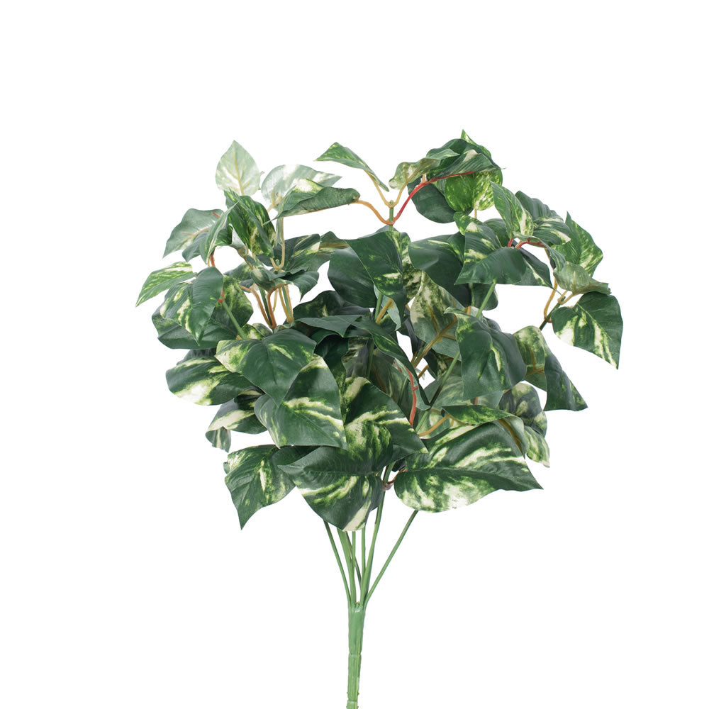Vickerman 17″ Pothos Leaf Bush Green/Cream - FQ170501