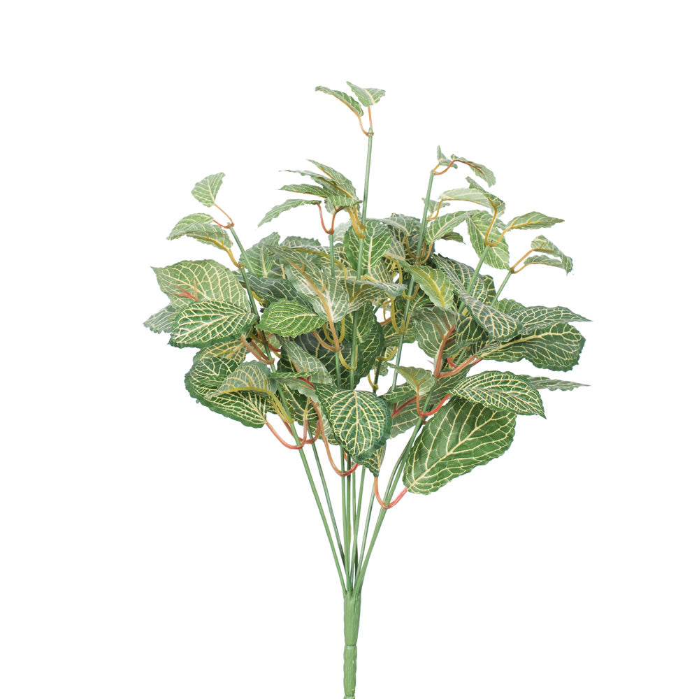 Vickerman 17″ Green Fittonia Bush - FQ170502