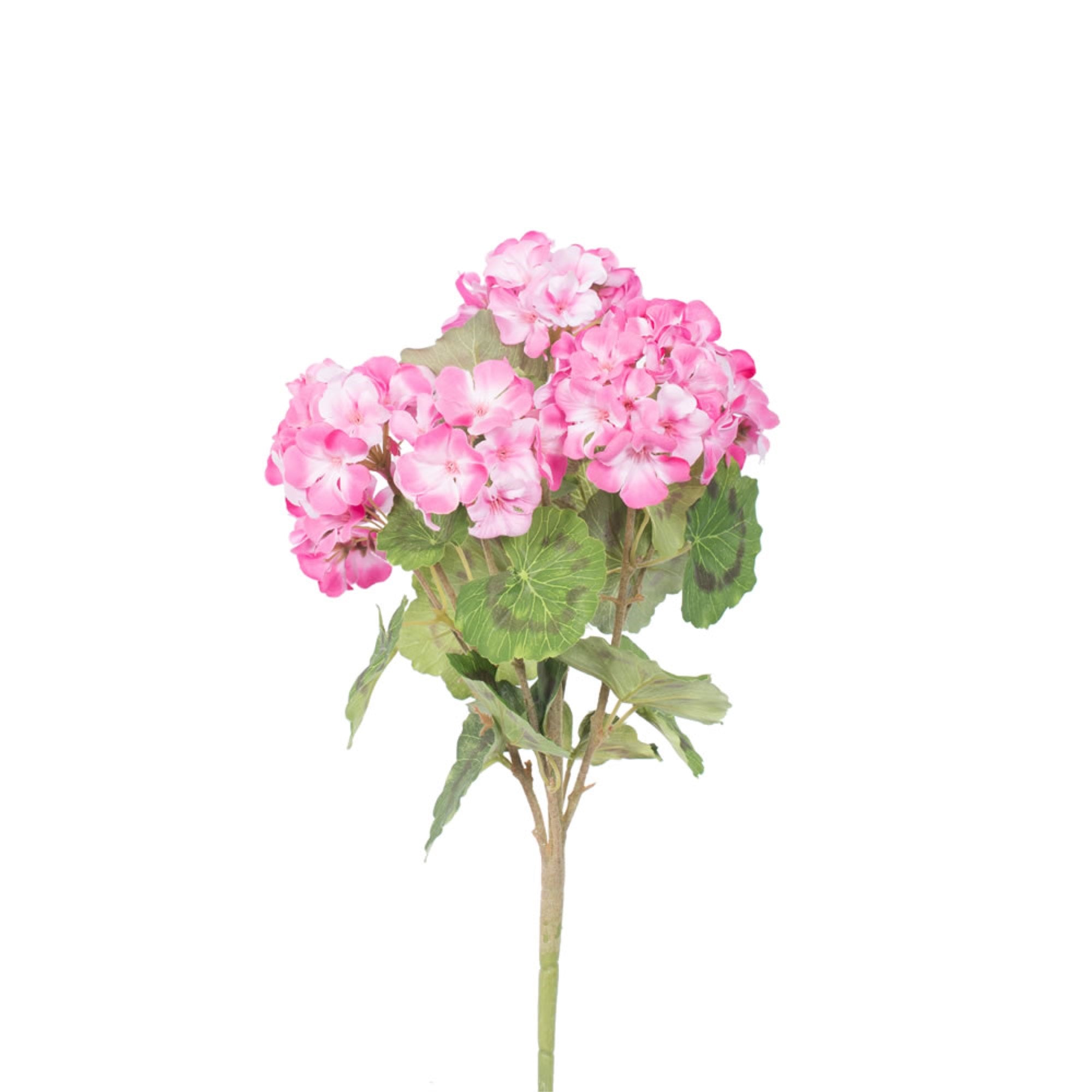 18” Lt Pink Geranium Bush 4/pk
