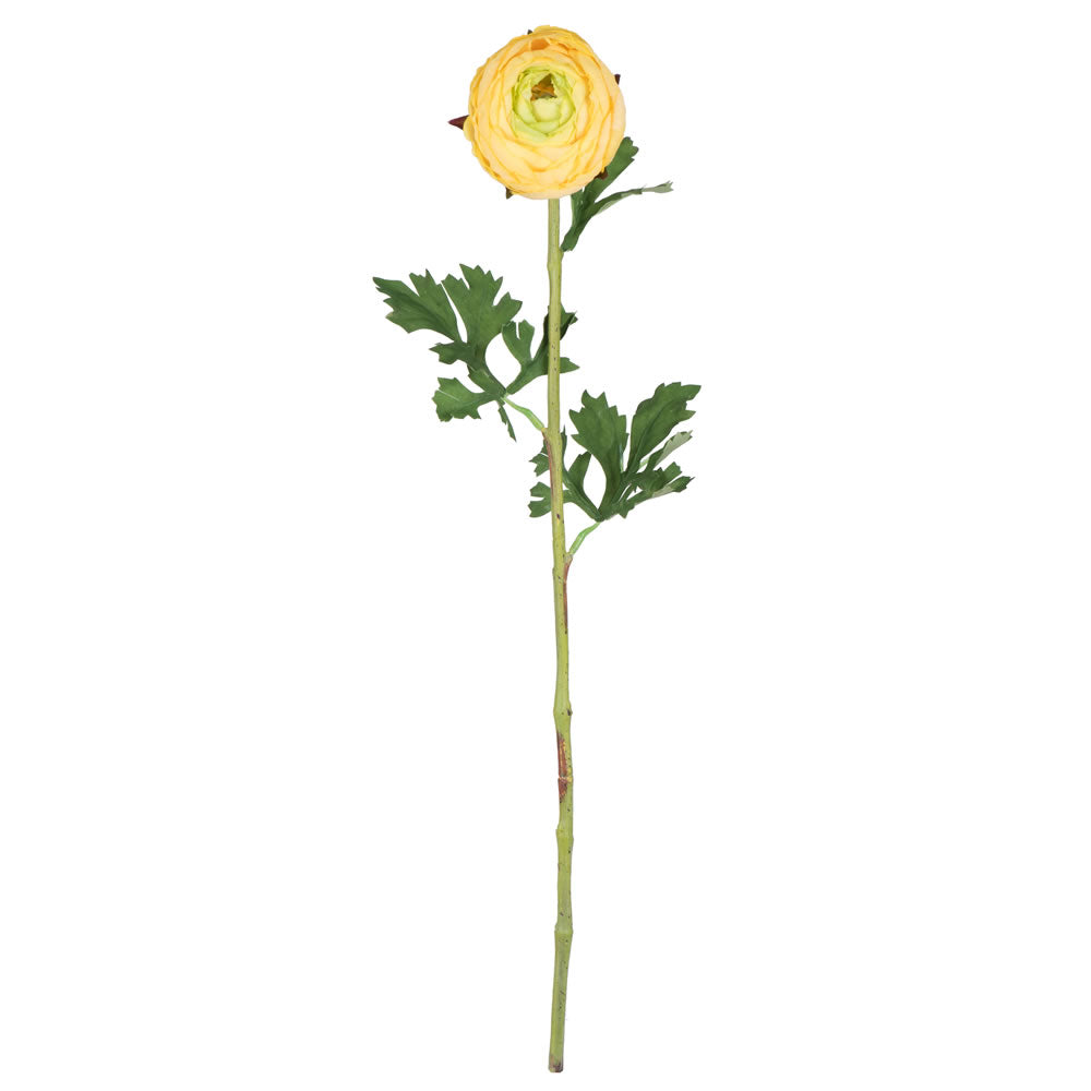 Vickerman 23” Yellow Ranunculus Stem 4/Pk - FQ180701