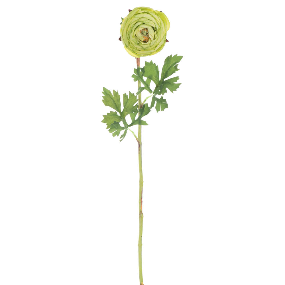 Vickerman 23” Green Ranunculus Stem 4/Pk - FQ180704