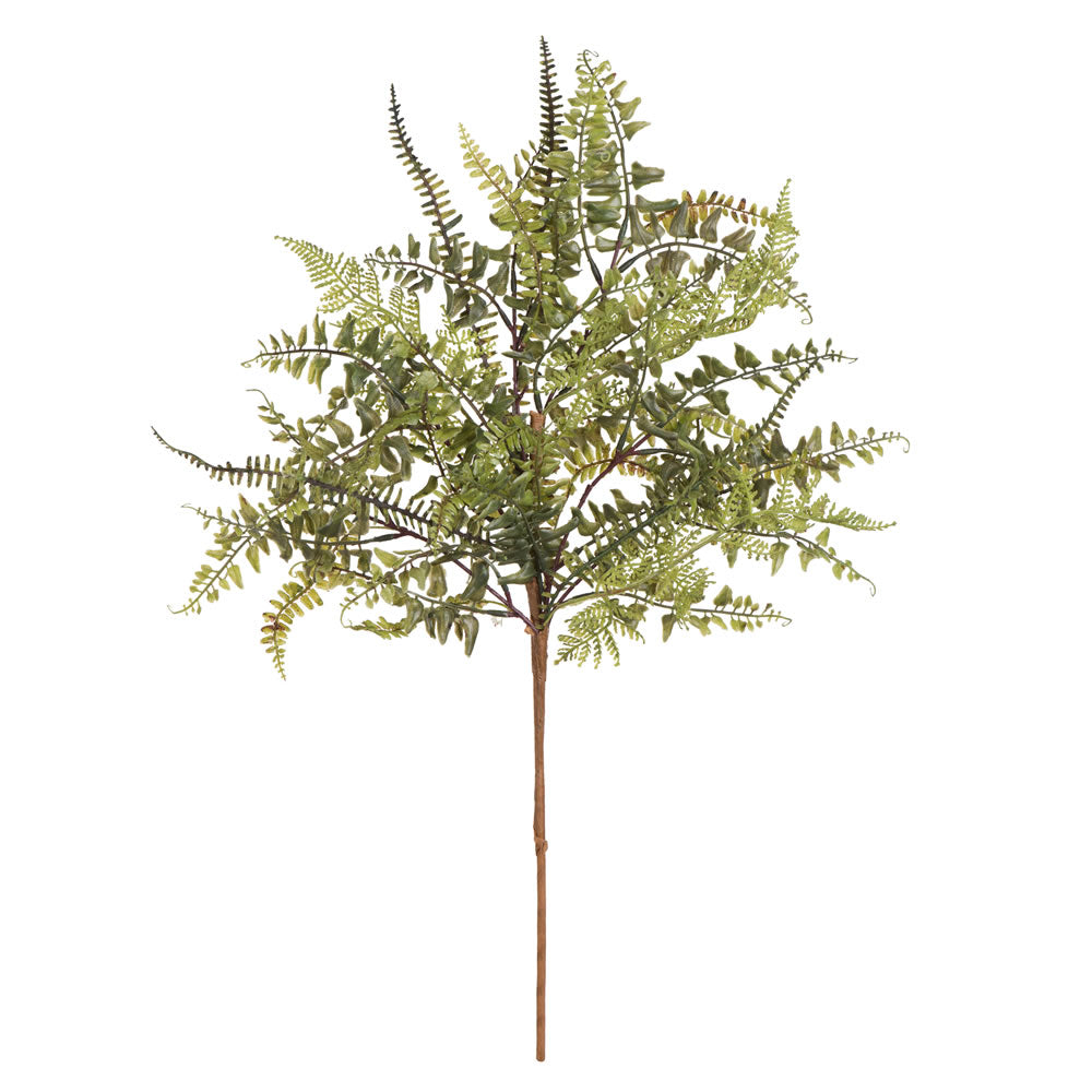 Vickerman 27” Green Fern Spray 3/Pk - FQ181001