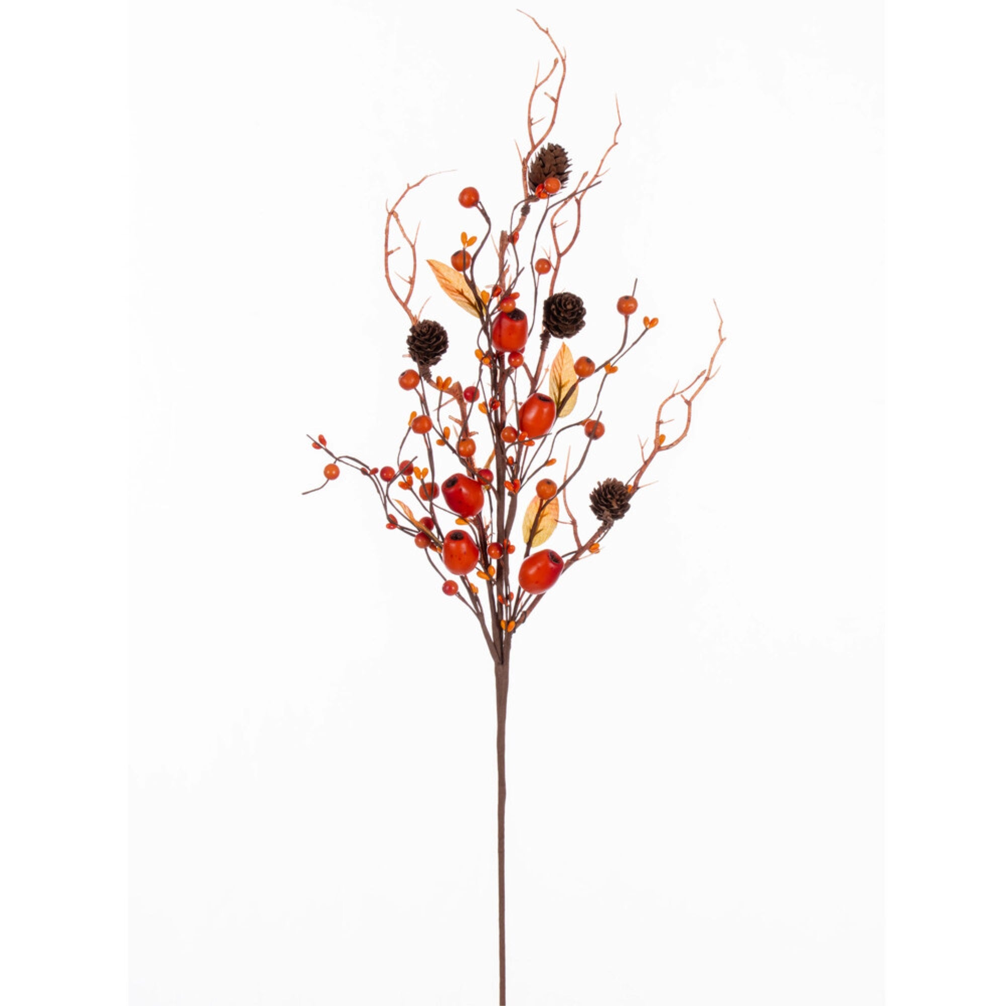 28” Orng Fall Pod/Brry/Pnecne Spry 2/Bag