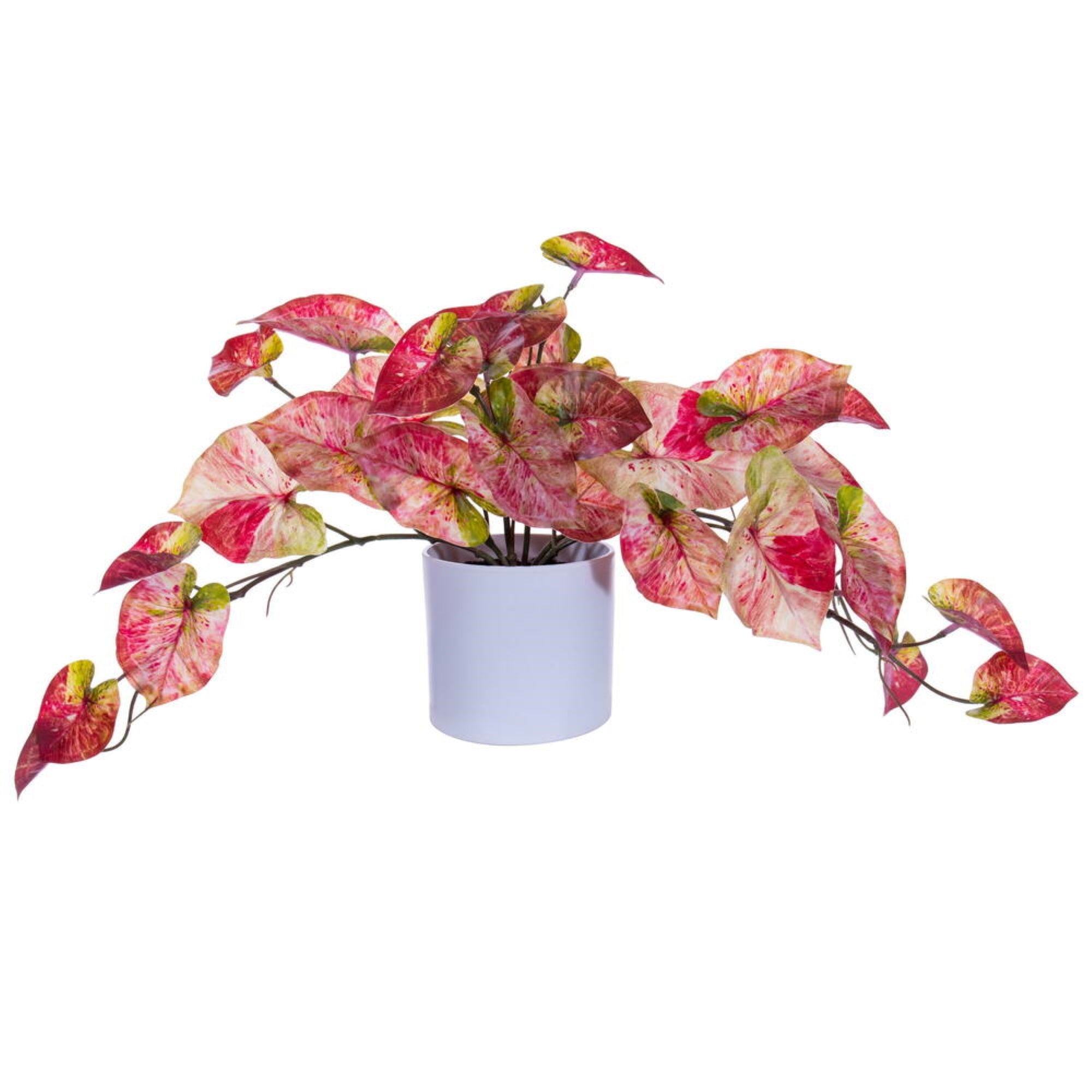 16” Red Leaves in Pot