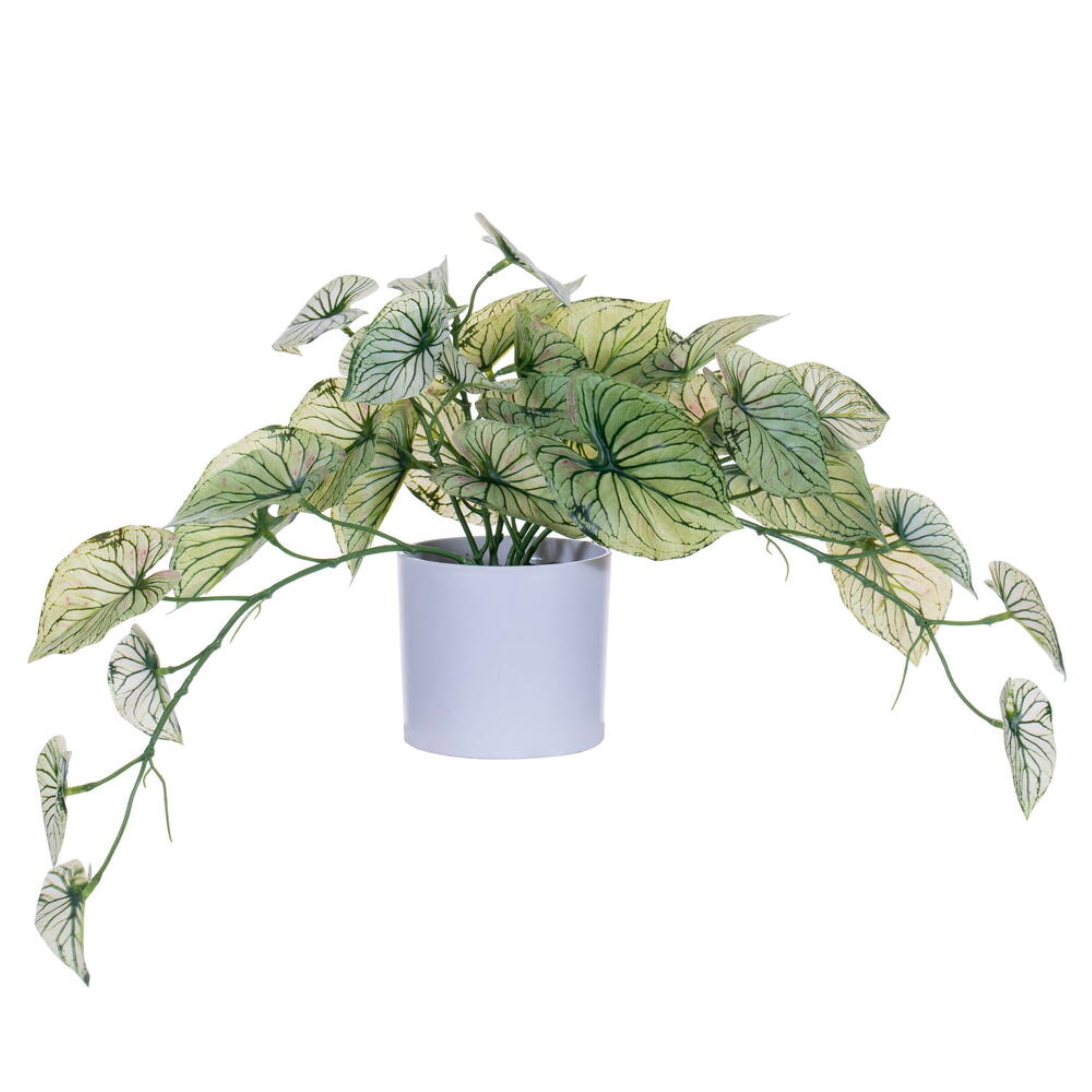 16” Light Green Leaves in Pot