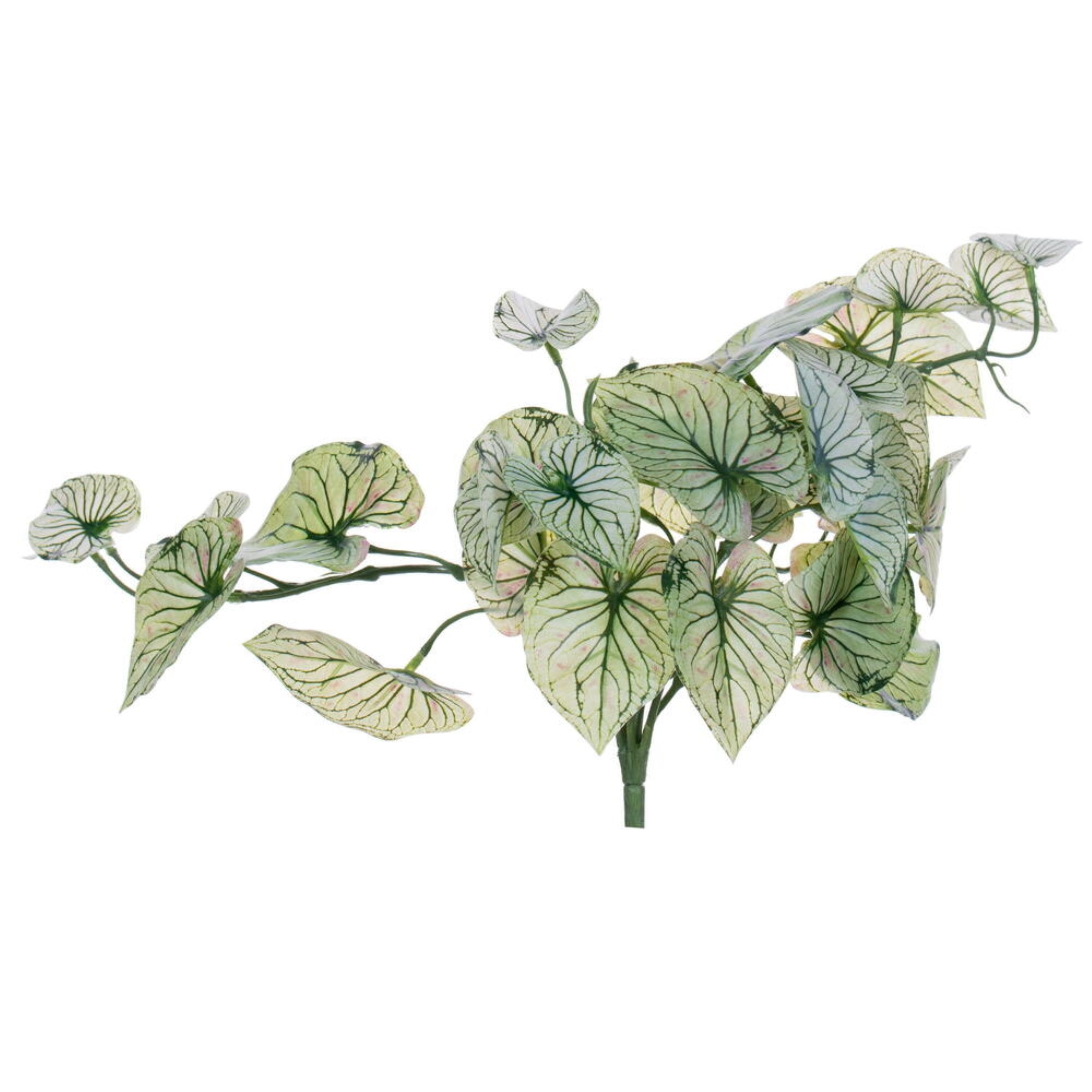 Vickerman 15” Artificial Light Green Hanging Variegated Leaves Vine. Includes two pieces per bag.