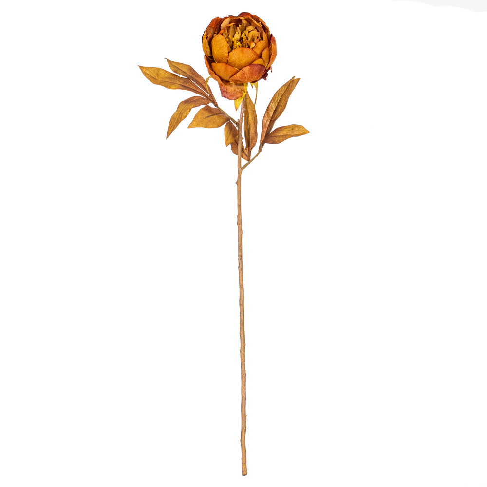 21″ Yellow/Brown Peony Stem 6/Bag