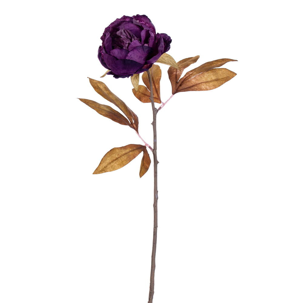21” Dark Purple Peony Stem 6/Bag