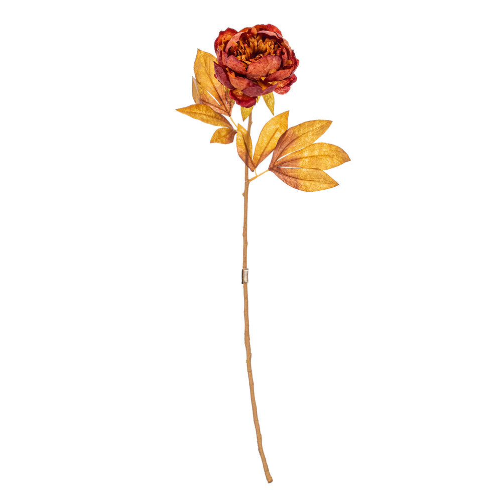 21″ Dark Brown Peony Stem 6/Bag