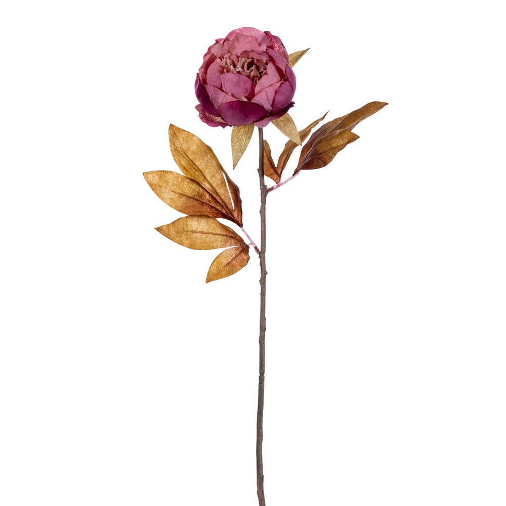 21” Light Mauve Peony Stem 6/Bag