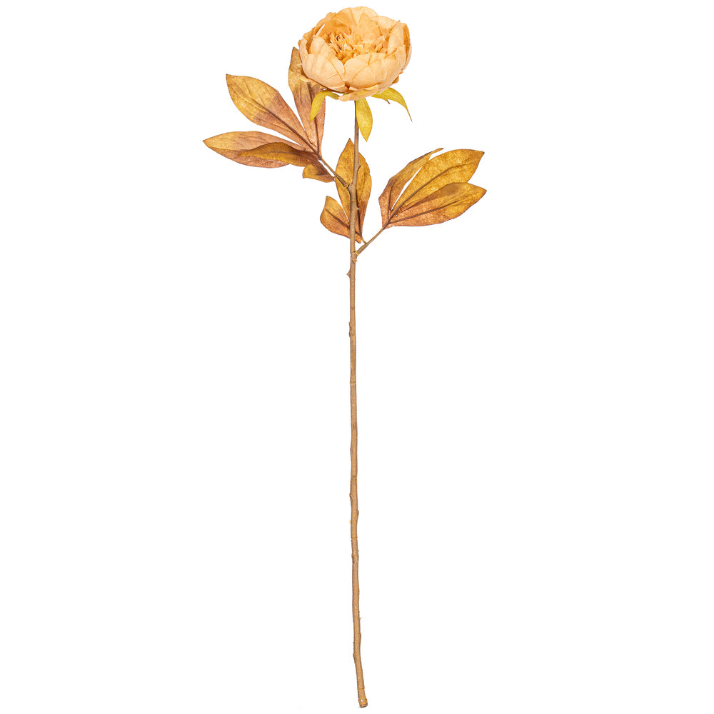 21″ Cream Peony Stem 6/Bag