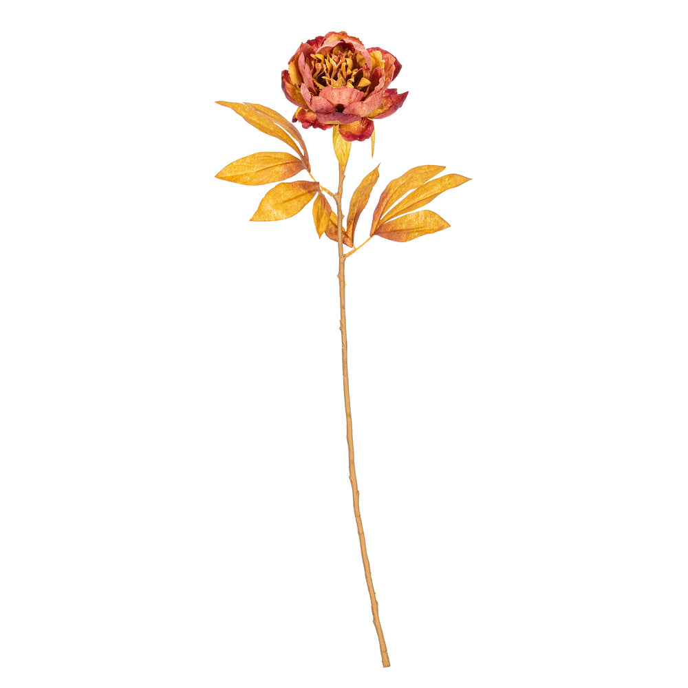 21″ Red/Brown Peony Stem 6/Bag