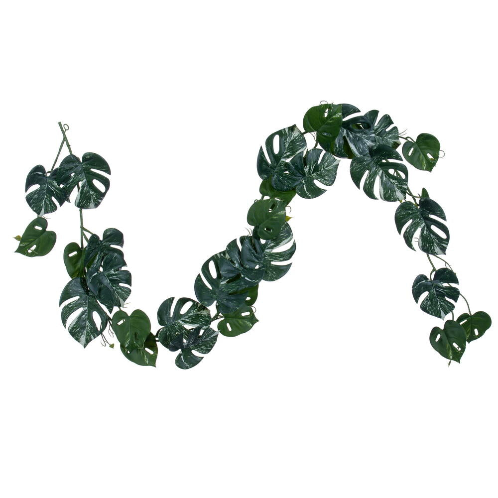 71” Green Monstera