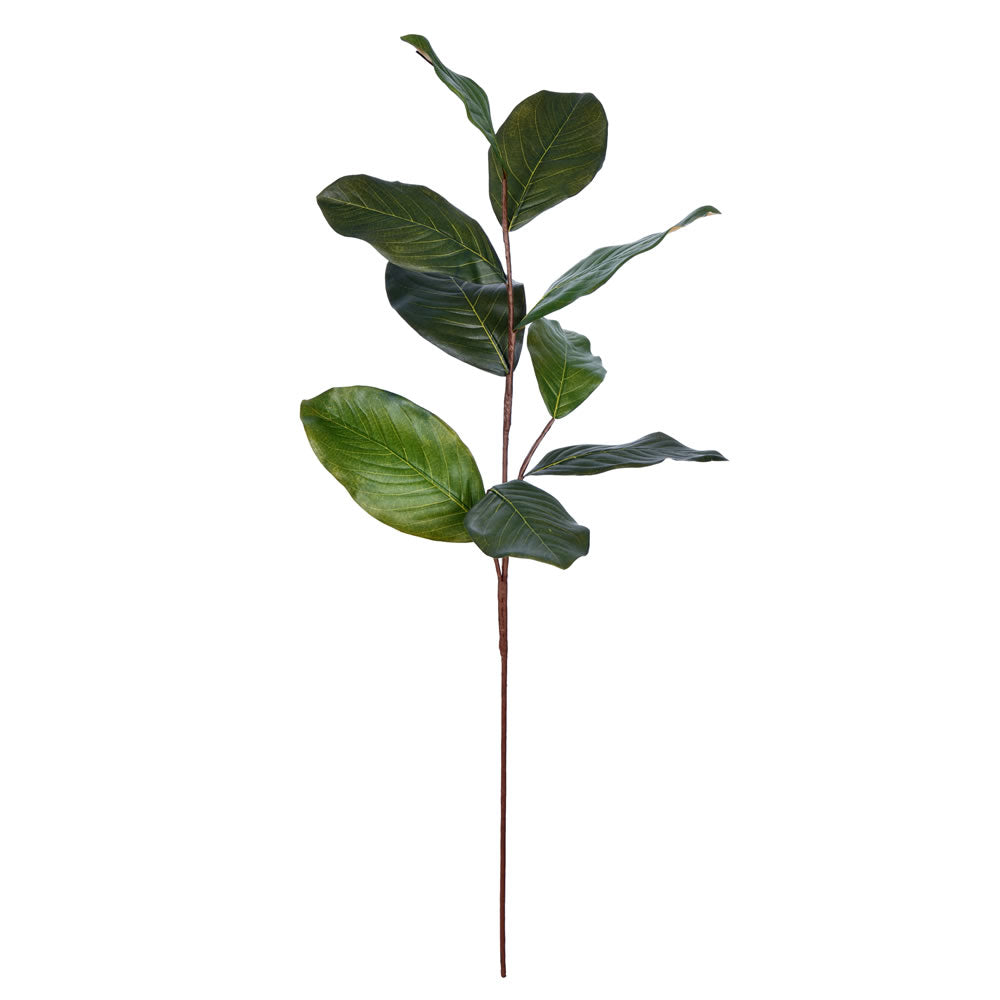 Vickerman 30” Green Magnolia Spray Pk/3 - FT190103