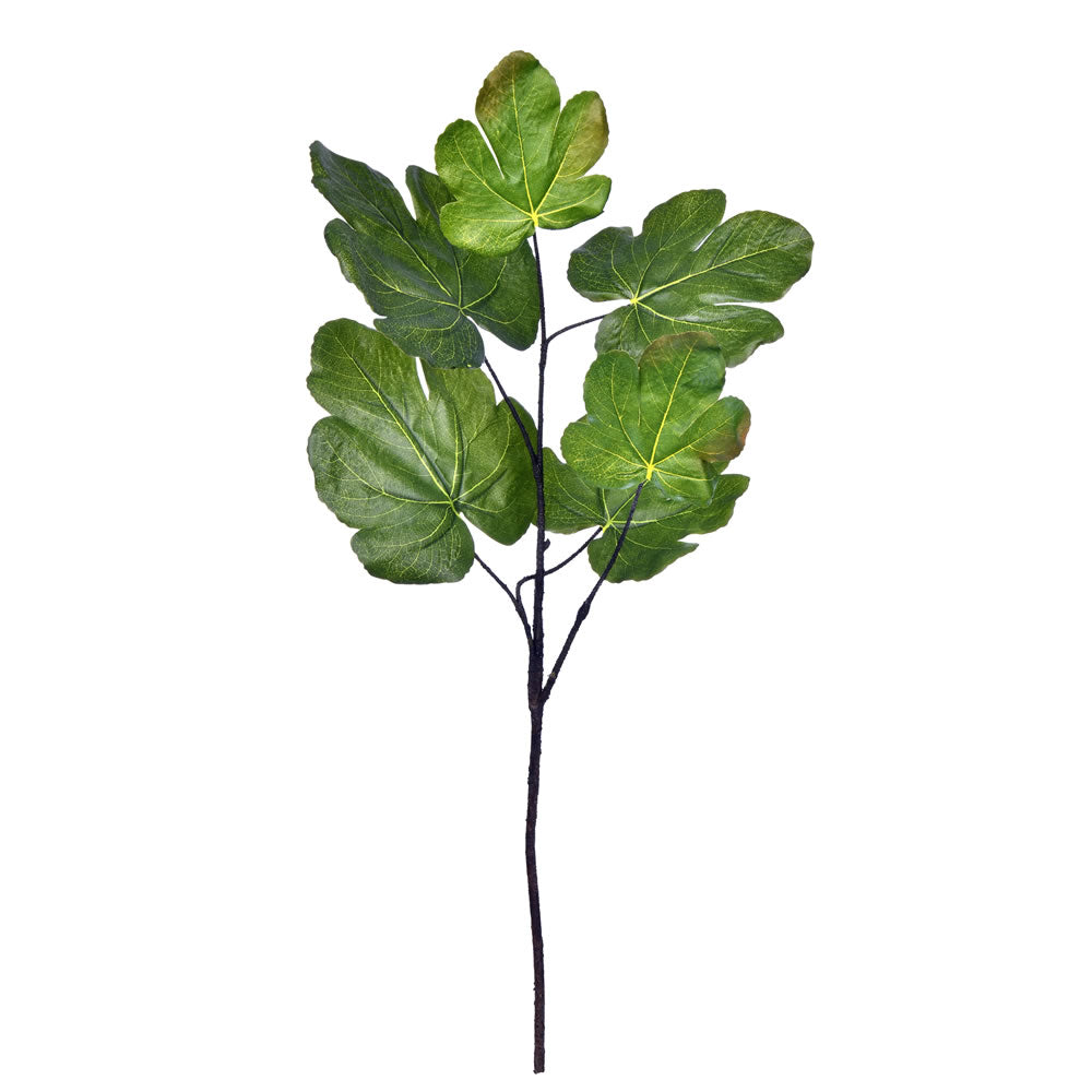 Vickerman 26” Green Fig Leaf Spray Pk/3 - FT190602