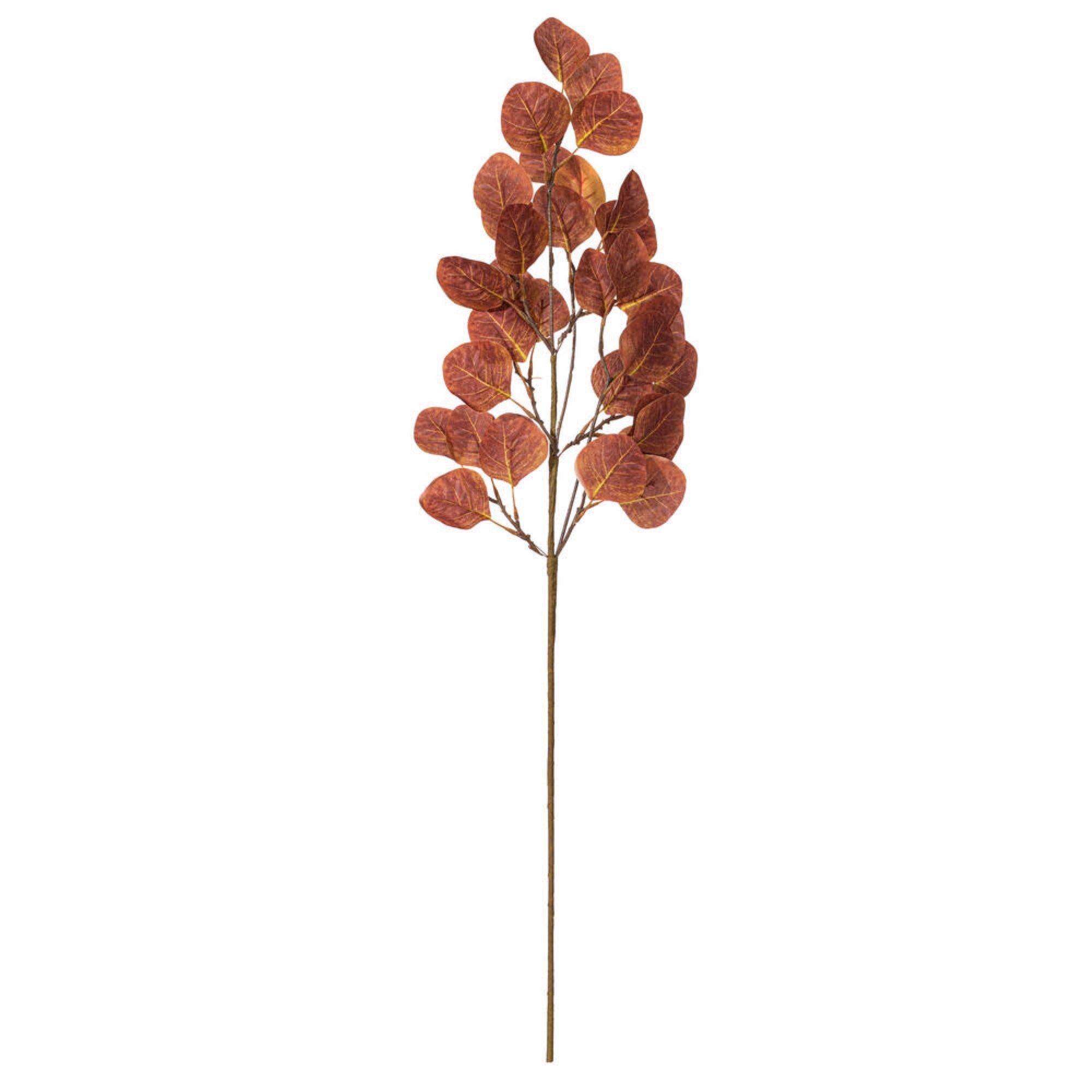 Vickerman 32” Dark Brown Artificial Silver Dollar Eucalyptus Leaf Spray 3 per bag.