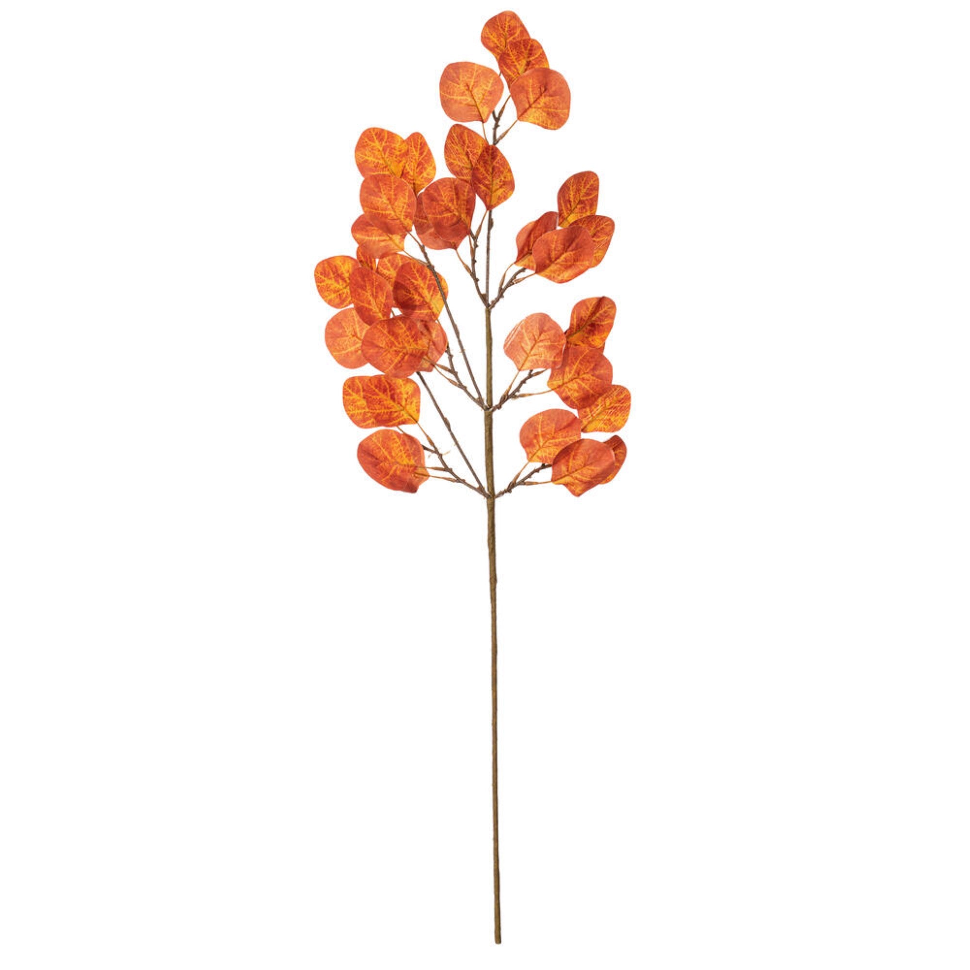 Vickerman 32” Rust Orange Artificial Silver Dollar Eucalyptus Leaf Spray 3 per bag.