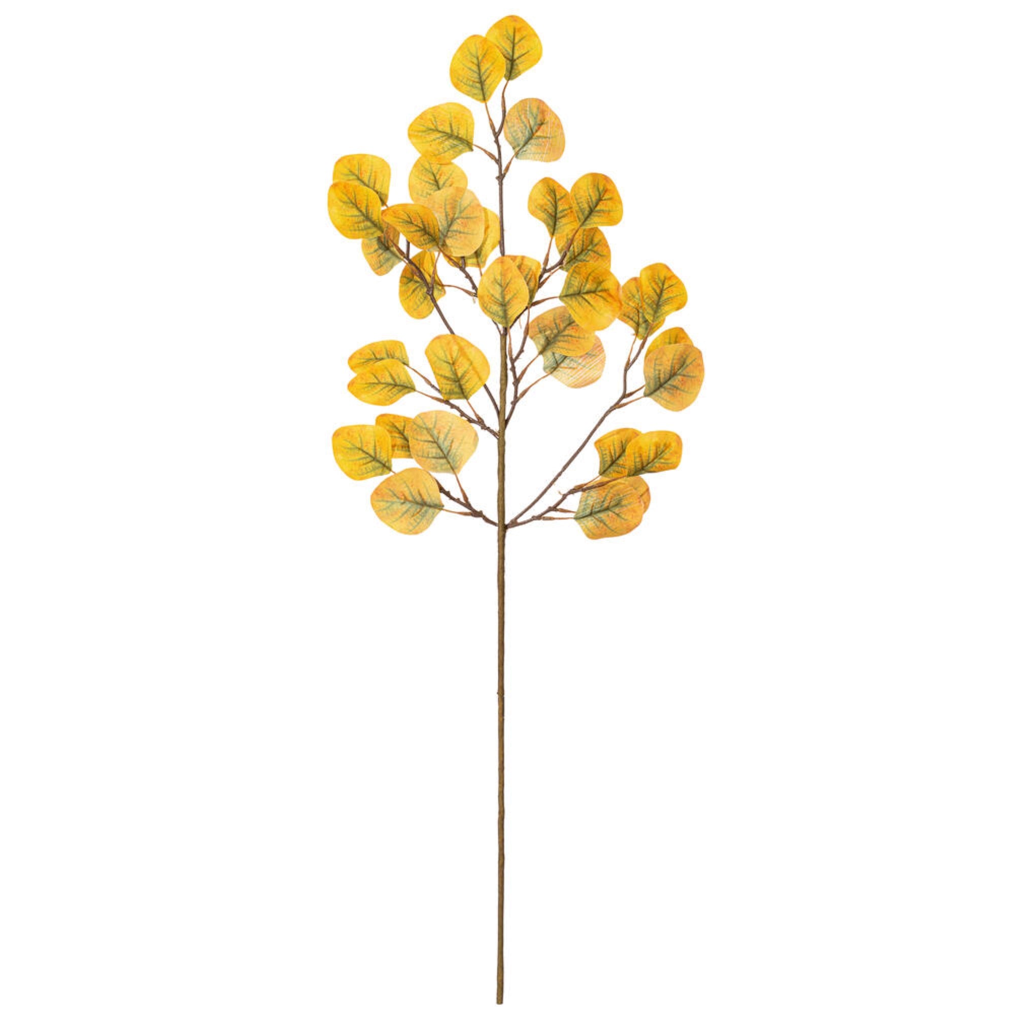 Vickerman 32” Yellow Green Artificial Silver Dollar Eucalyptus Leaf Spray 3 per bag.