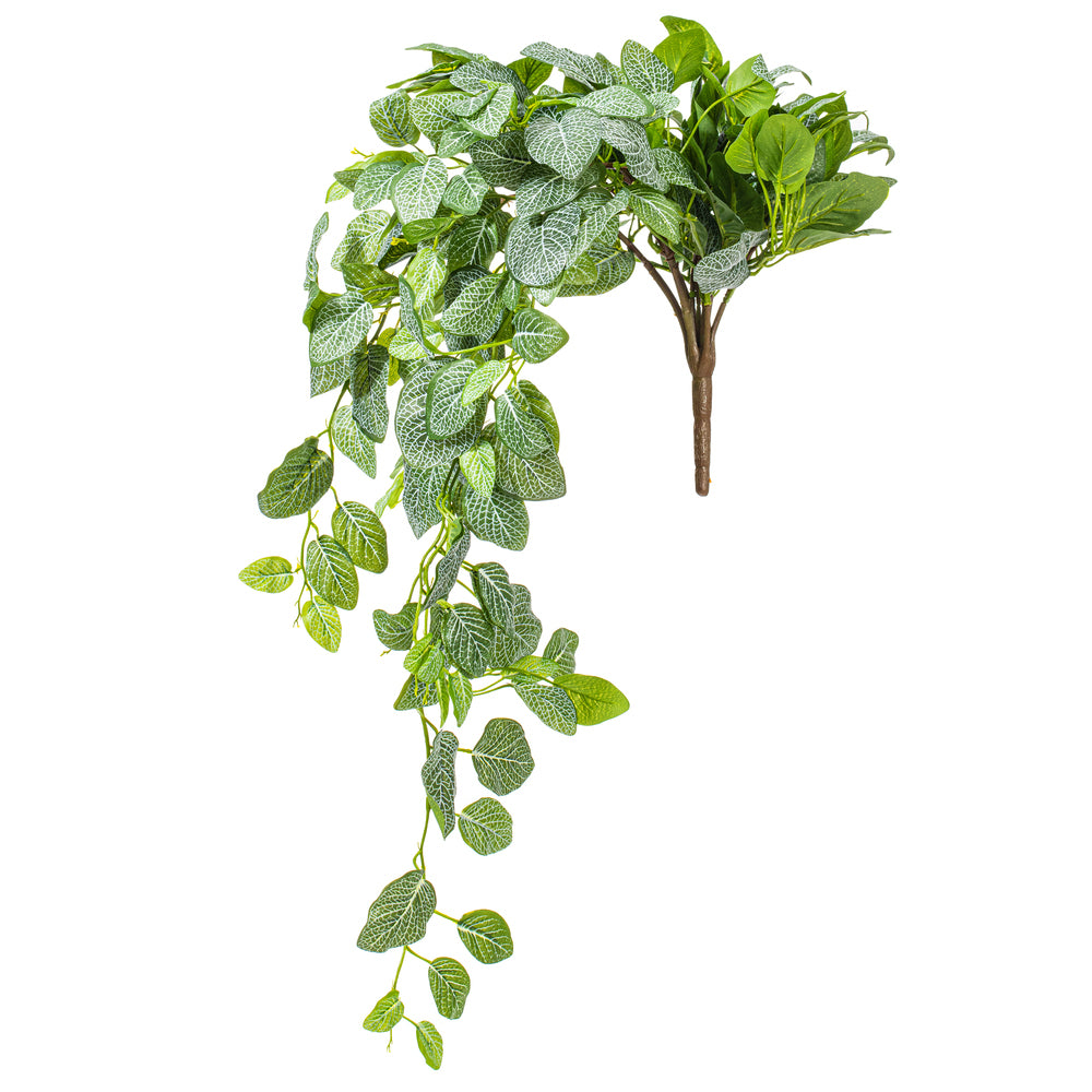 33” Green Fittonia Bush UV