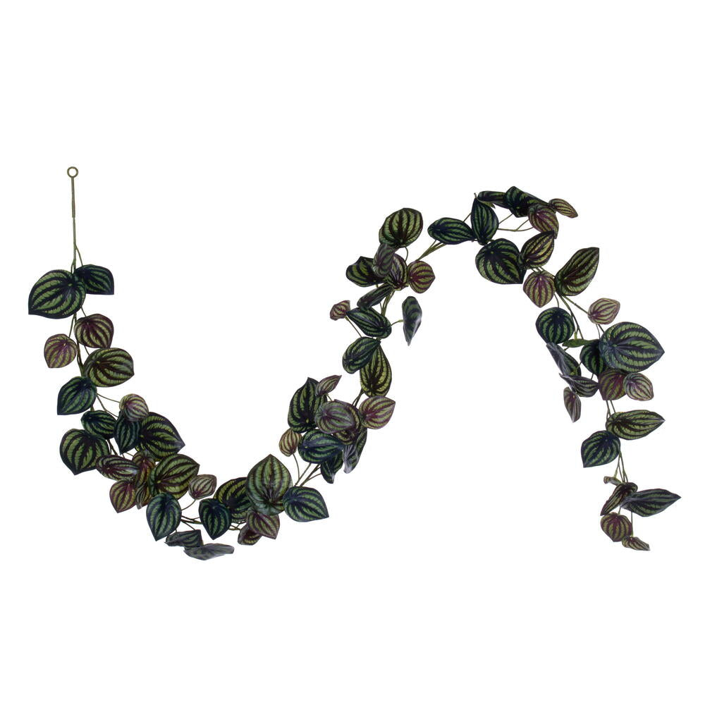 72” Peperomia PiccoloGarland UV