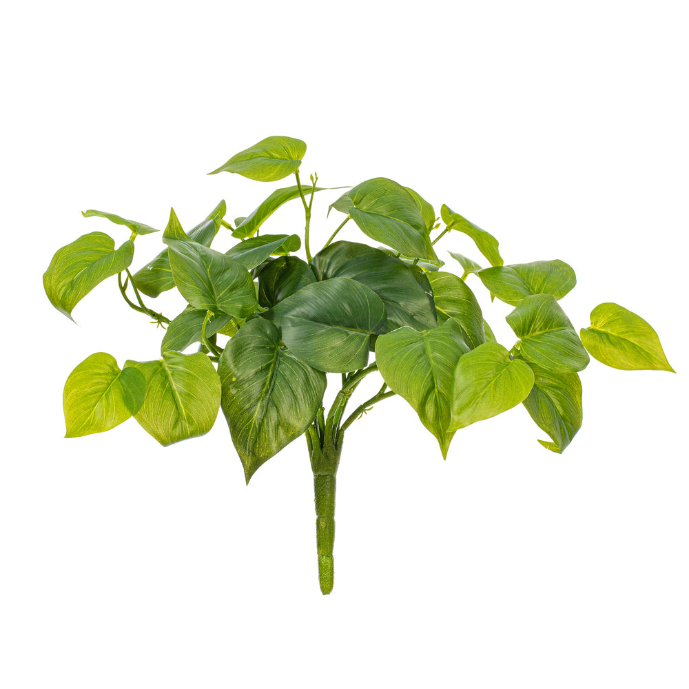 14” Green Pothos Bush UV 2/Bag