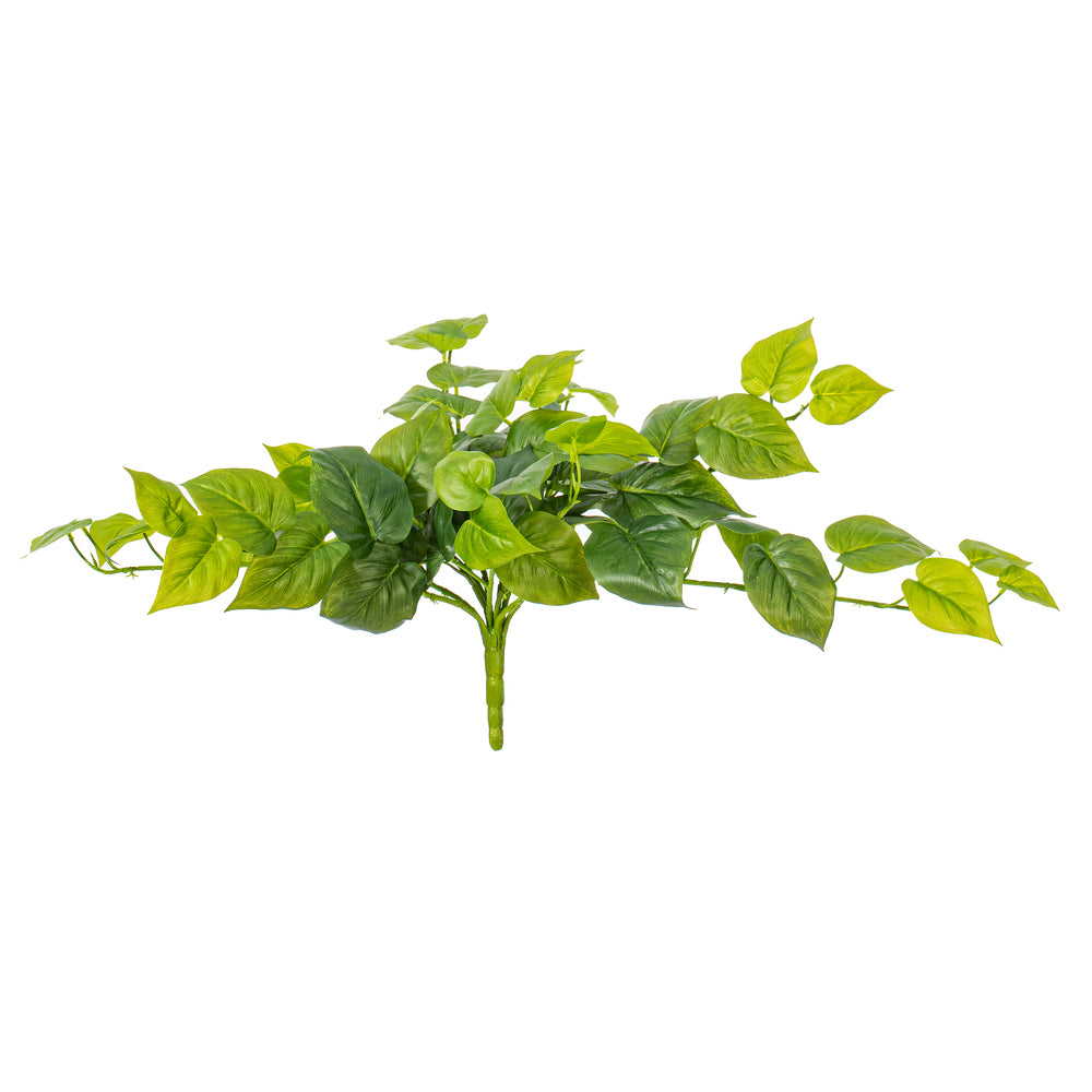 23” Green Pothos Bush UV