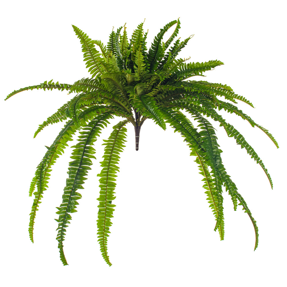 39” Green Boston Fern UV