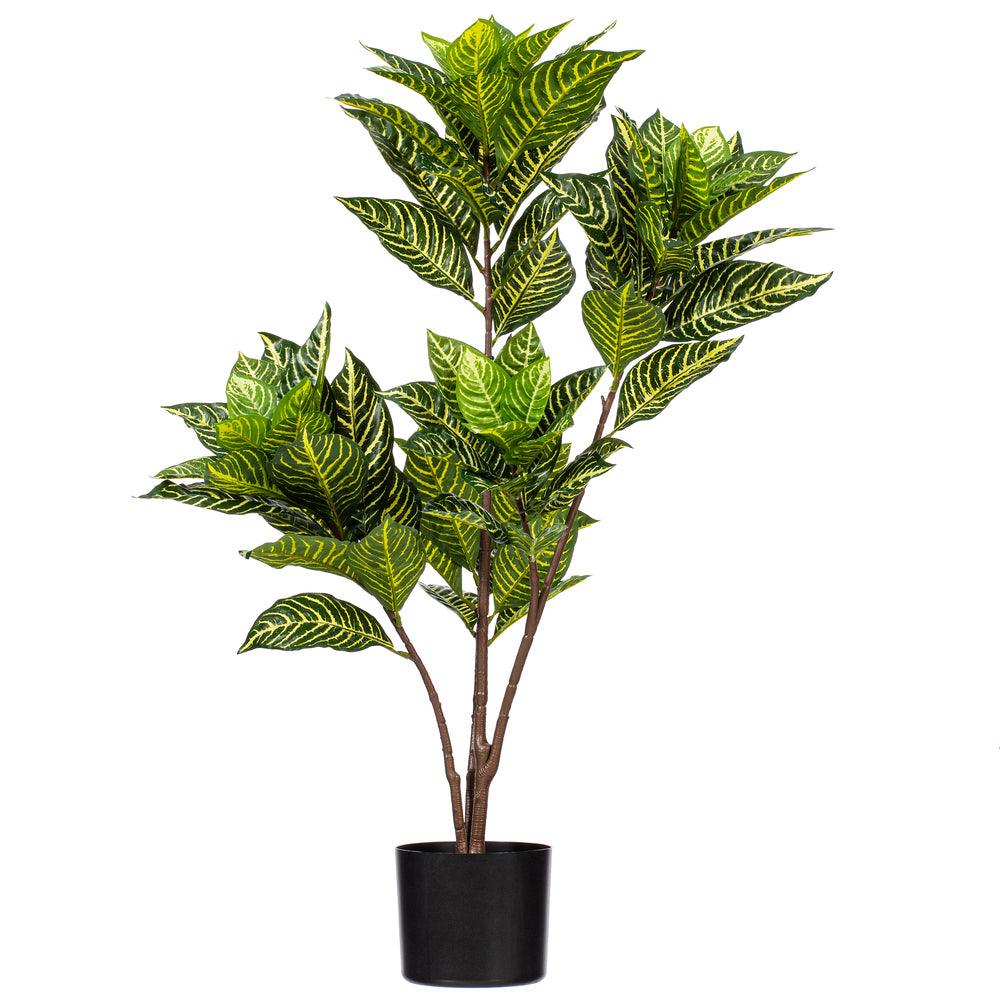 36″ Alocasia Zebrina Potted Plant