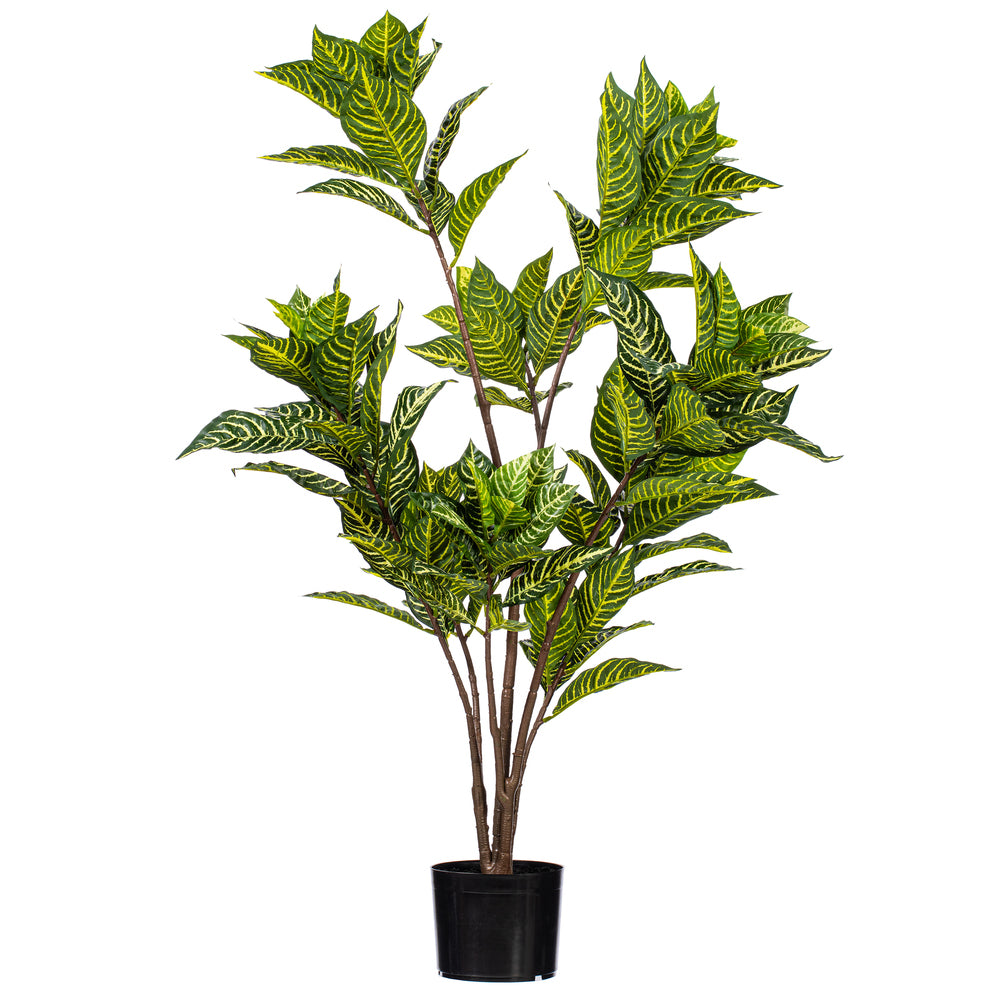 44″ Alocasia Zebrina Potted Plant