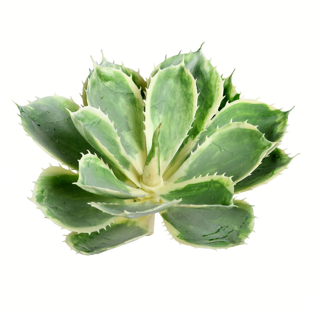 Vickerman 8” Green Succulent Stem - FU190208