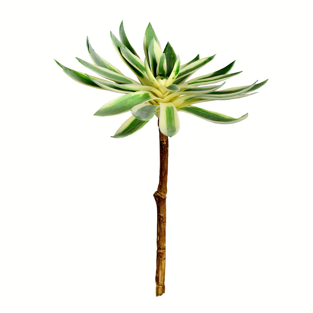 Vickerman 13” Green Succulent Spray 2/Pk - FU190413