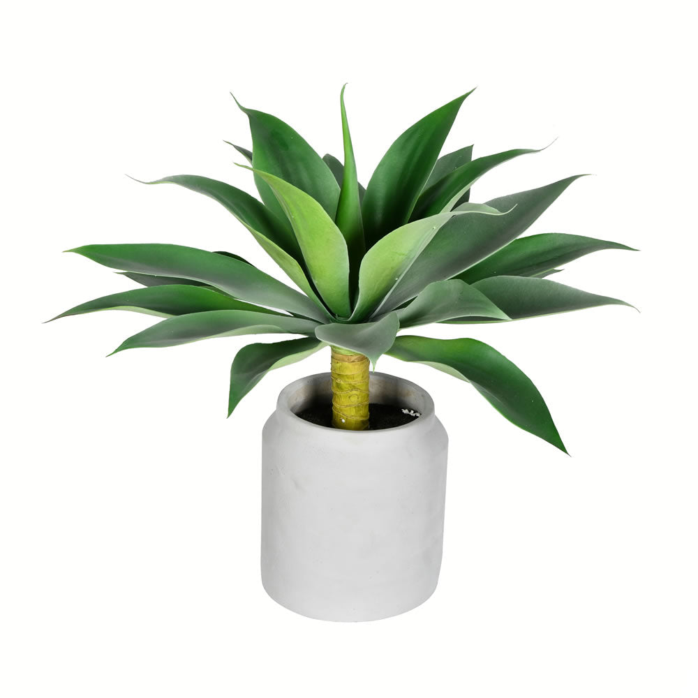 Vickerman 18” Potted Agave - FU191118