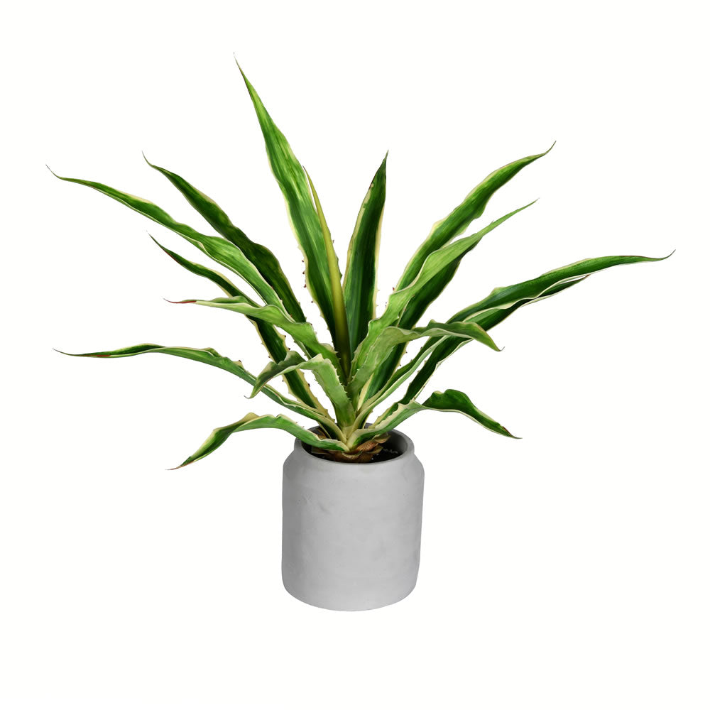 Vickerman 23” Potted Yucca Plant - FU191223