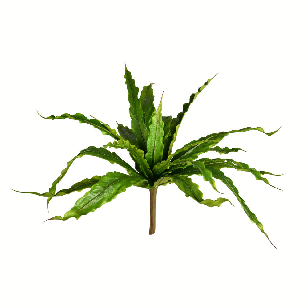 Vickerman 13” Green Bird Nest Fern Bush - FU191313