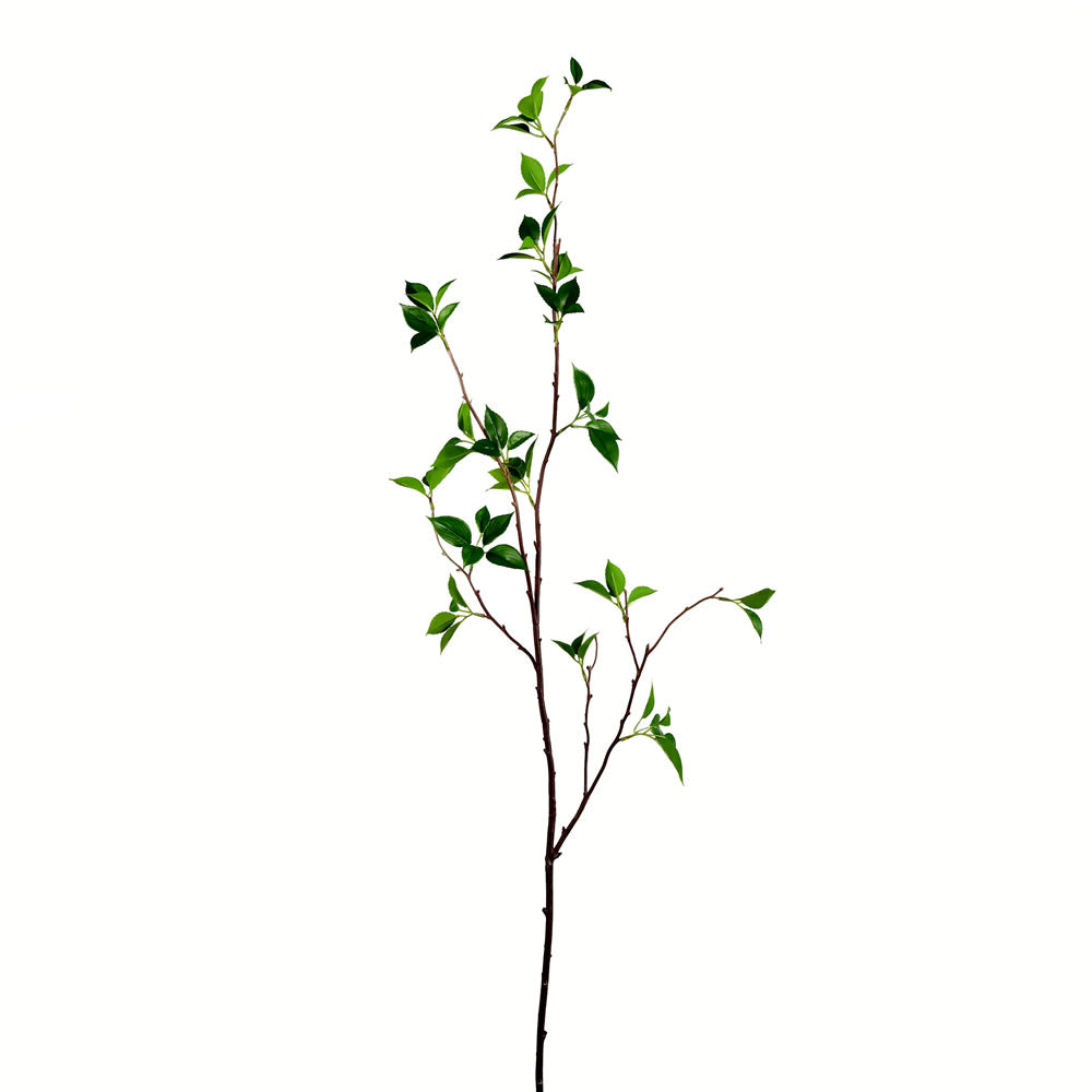 Vickerman 48” Green Baby Leaf Pk 2/Pk - FU191535