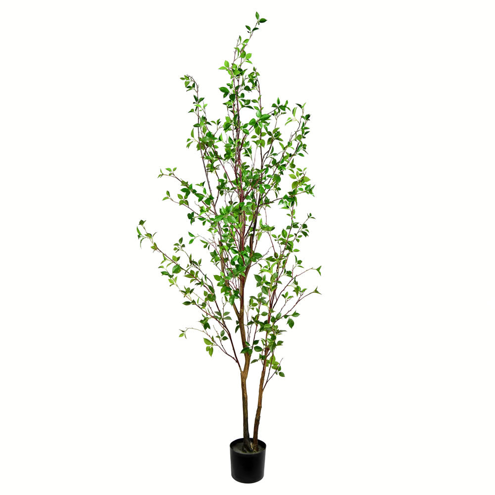 Vickerman 84” Potted Baby Leaf Tree - FU191584