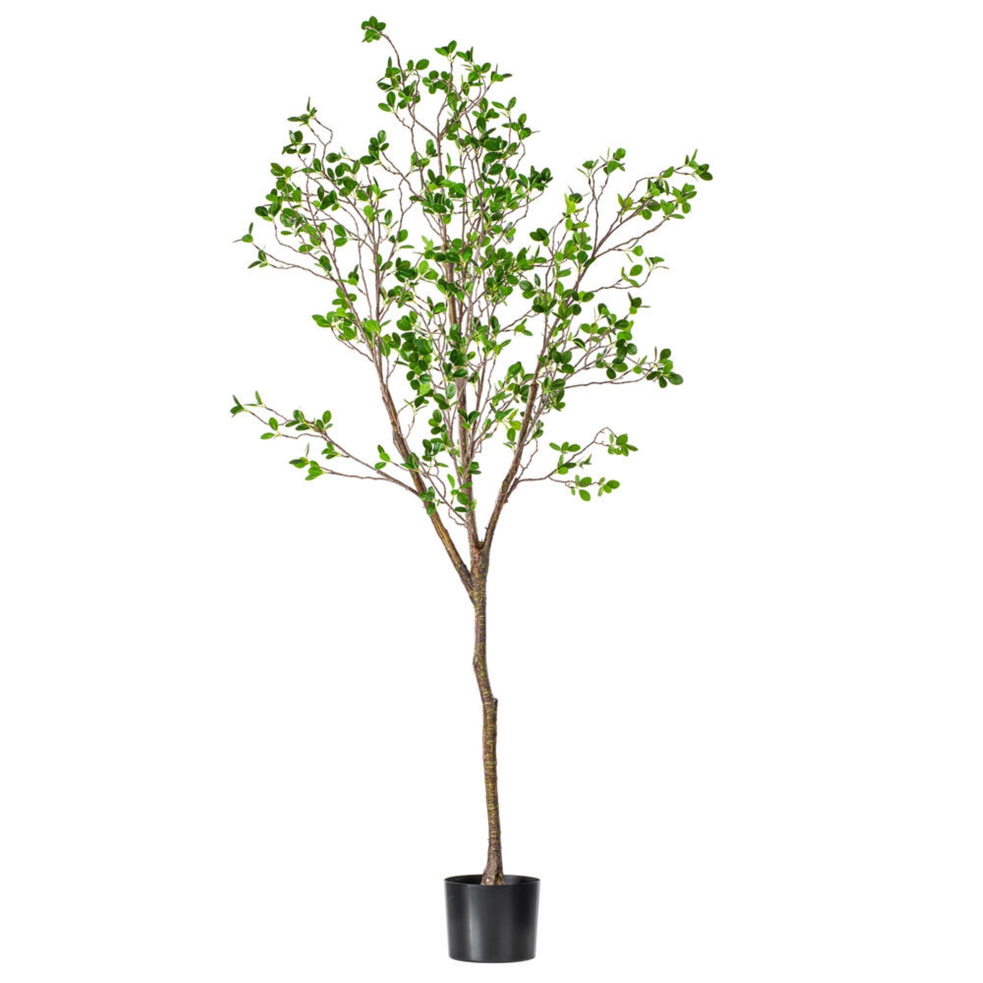 Vickerman 72” Artificial Milan Leaf Tree in Black Planters Pot.