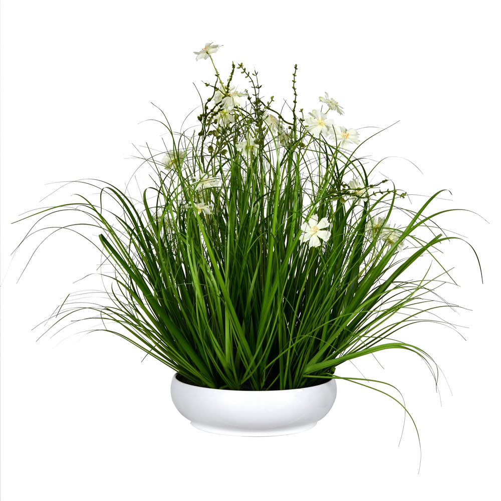 Vickerman 25” Cream Potted Cosmos Grass - FV190425